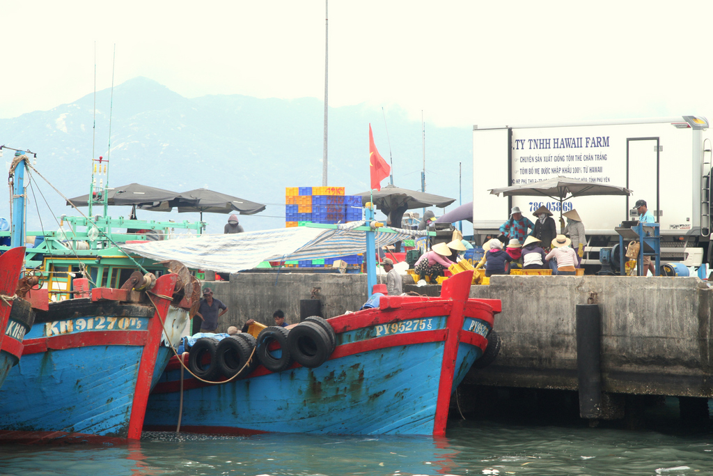Cảnh chợ tàu tấp nập