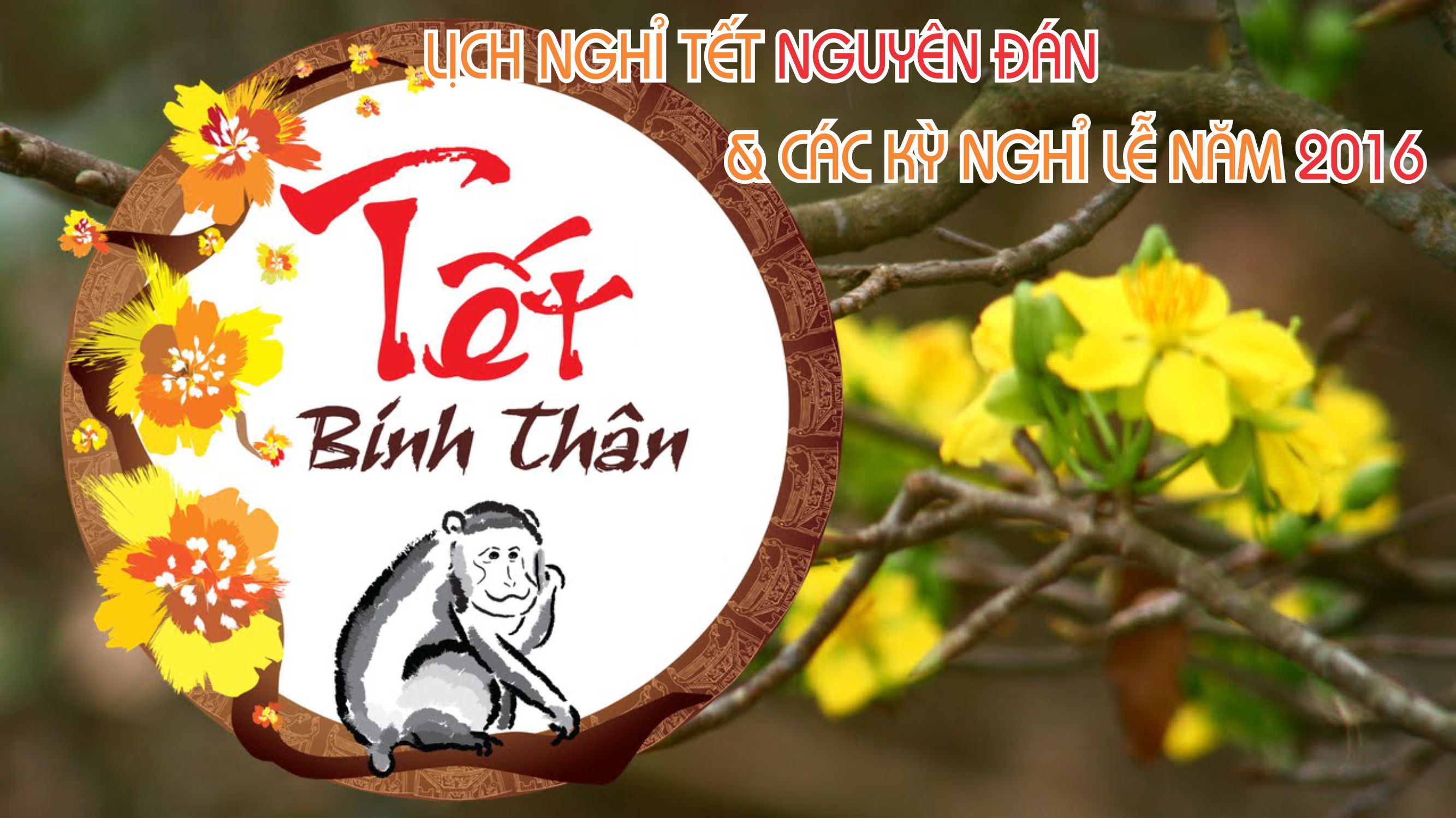long-phu-lich-nghi-tet-2016