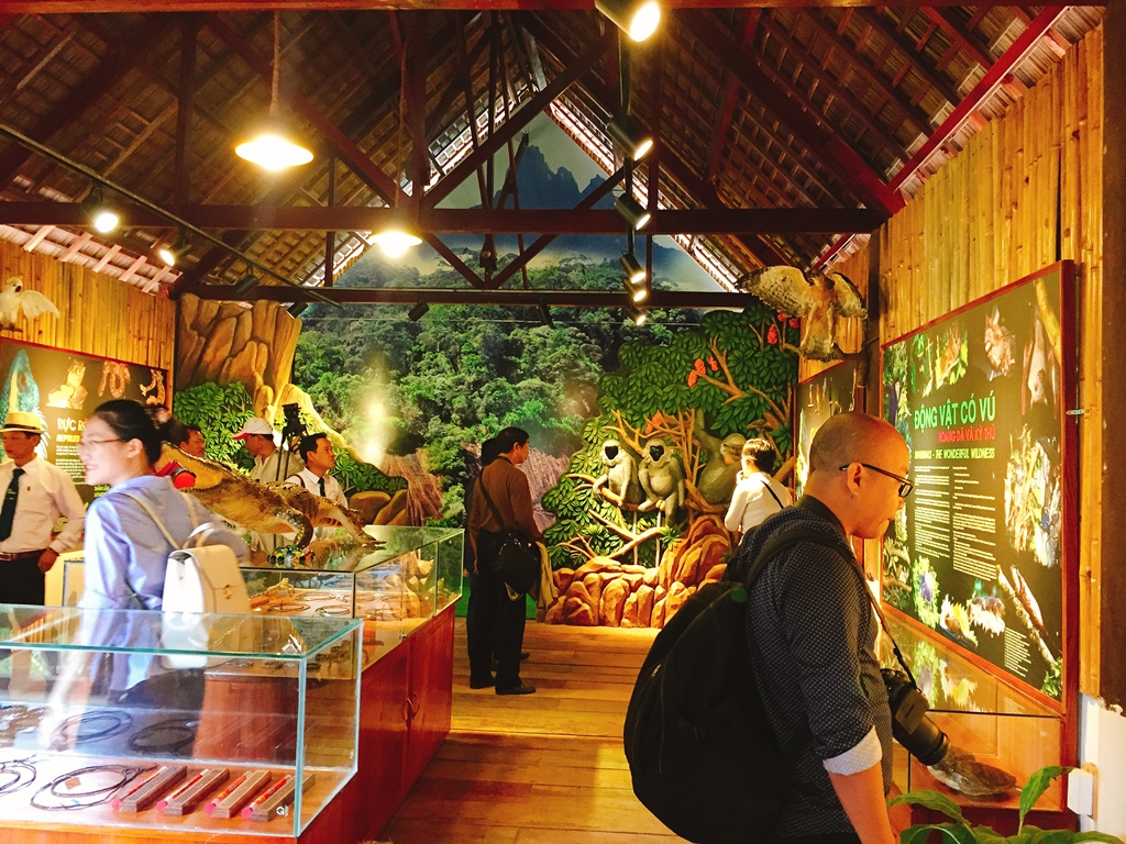 Khai-truong-dich-vu-long-long-2018-2