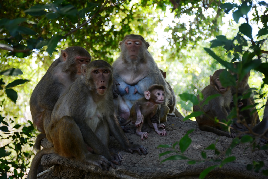 tour-dao-khi-nha-trang-26