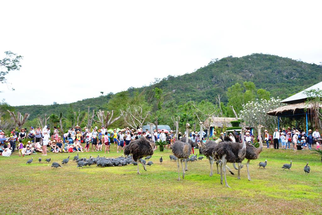 bieudienchim/Bieu-dien-chim-3