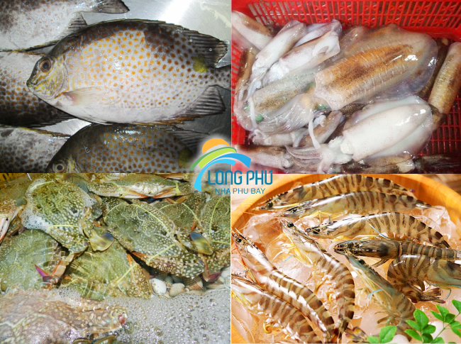 Dao-khi-diem-den-danh-cho-cac-ban-thich-du-lich-sinh-thai-bien-dao-3