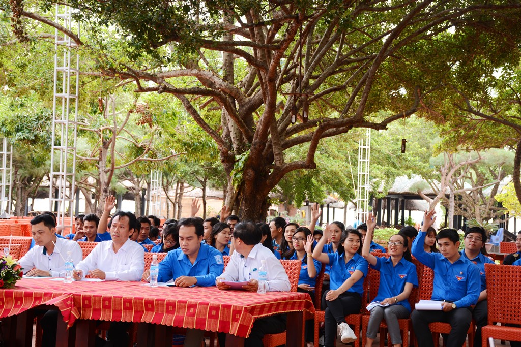 Dai-hoi-chi-doan-long-phu