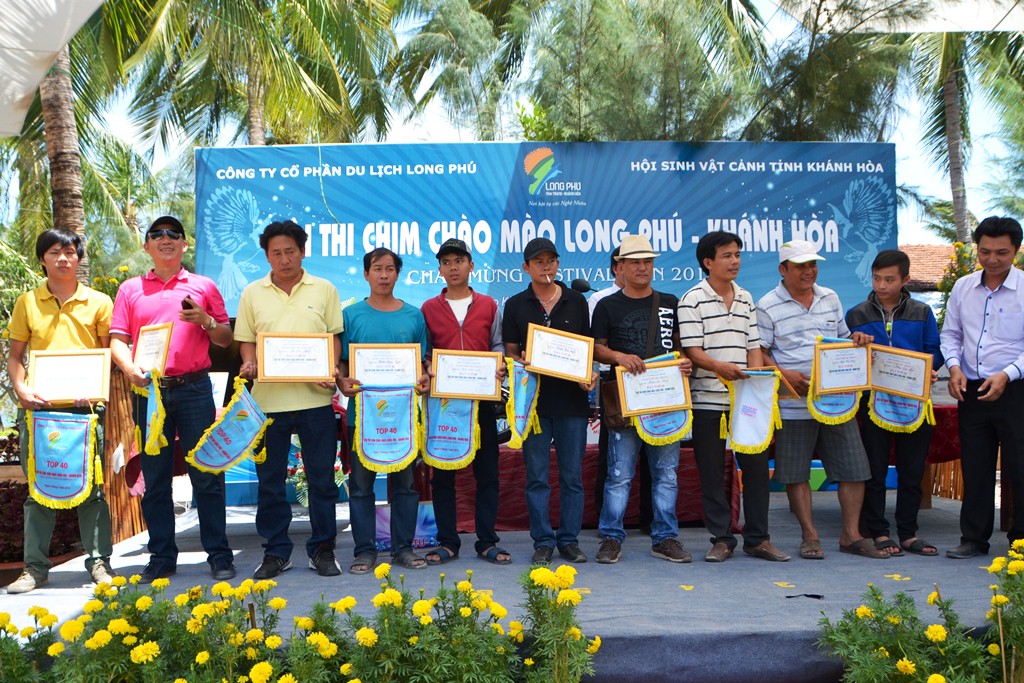 hoi-thi-chim-chao-mao-long-phu-khanh-hoa