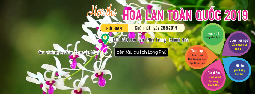 hoi-thi-hoa-lan-toan-quoc-2019