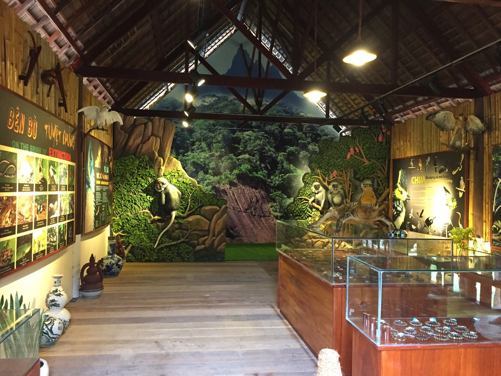 Khai-truong-dich-vu-long-long-2018-5