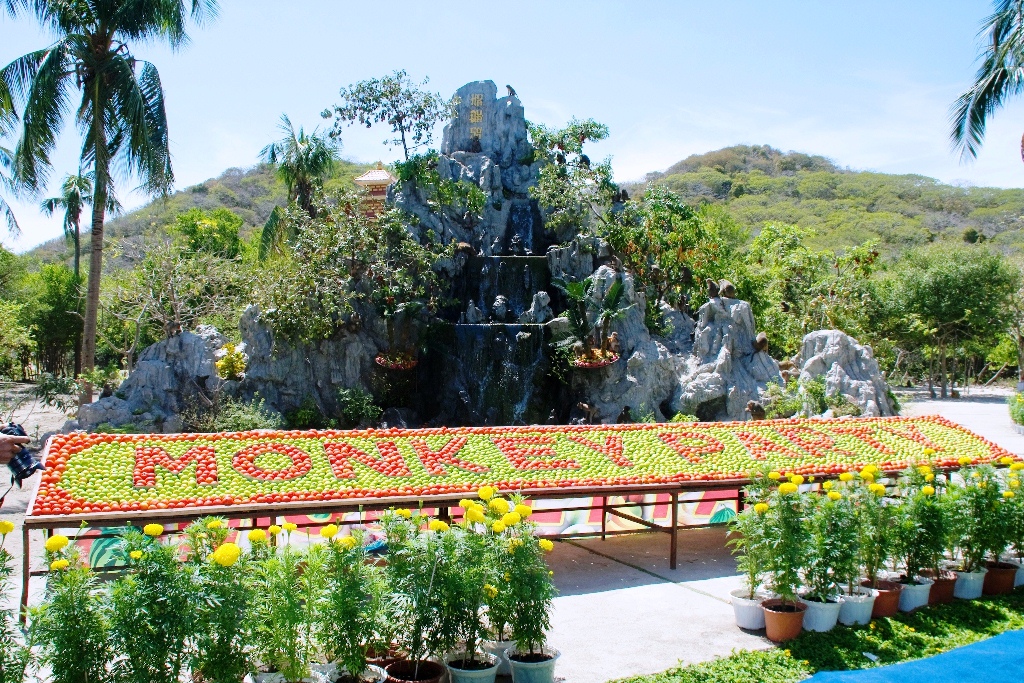 le-hoi-khi-monkey-festival-2015