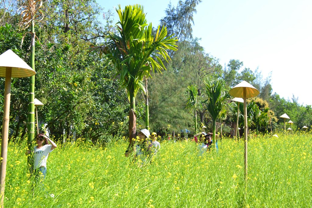 Vuon-hoa-cai-dao-hoa-lan