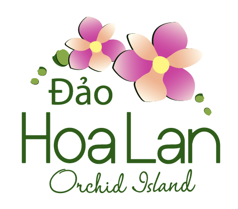 Dao-hoa-lan-nha-trang