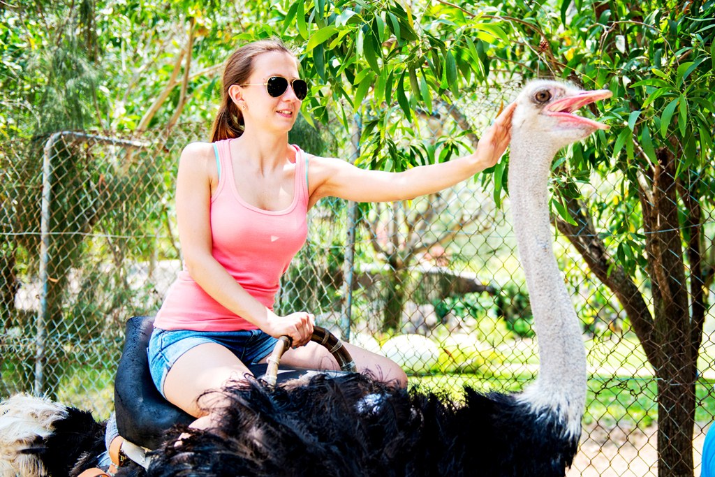 Suoi-hoa-lan-nha-trang%206