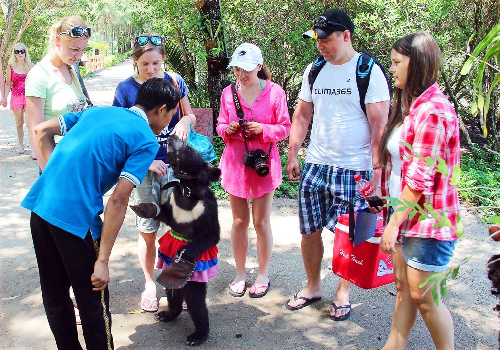 Than-thien-voi-gau-suoi-hoa-lan-nha-tran