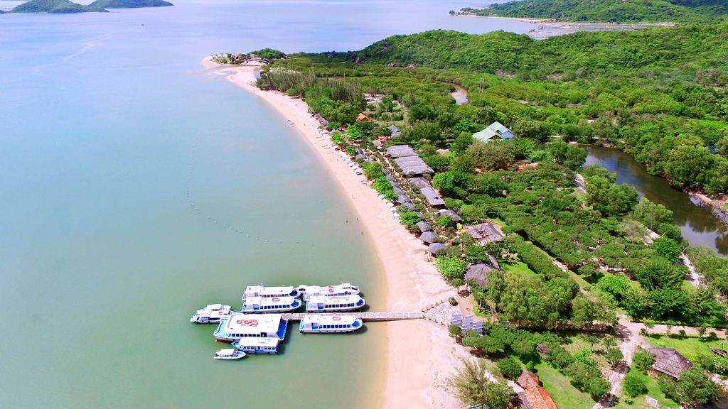 dao-hoa-lan-toan-canh