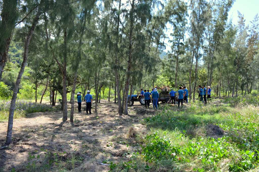 lam-cho-the-gioi-sach-hon-2017-8